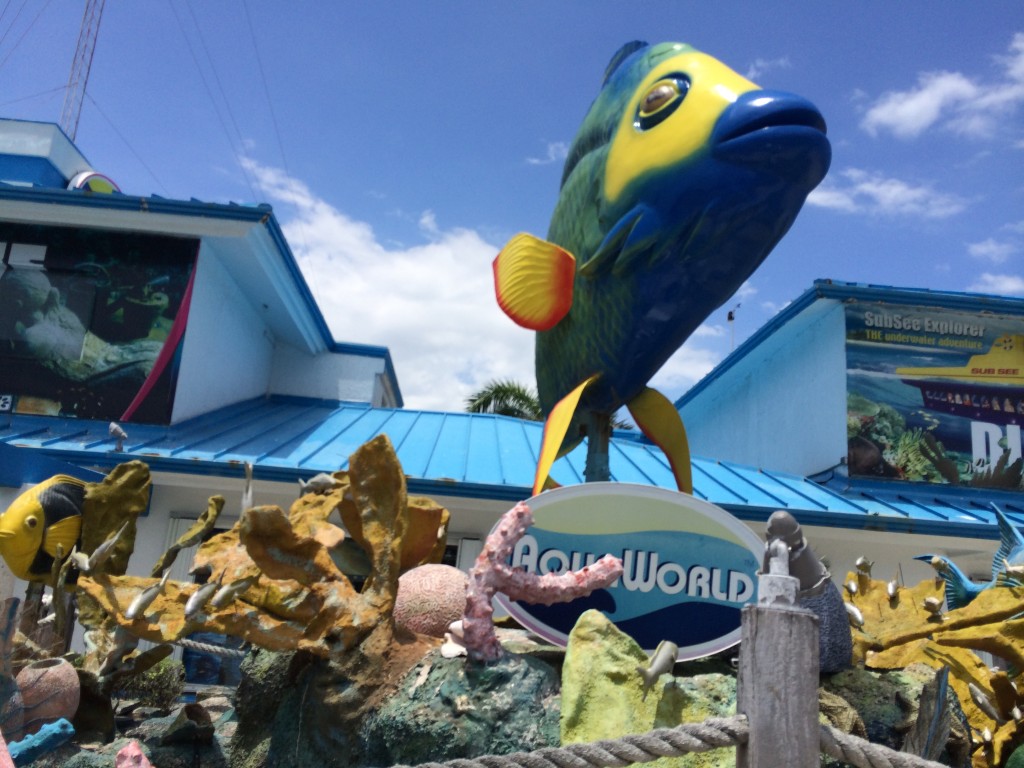 Aquaworld scuba and snorkeling center in Cancun, Mexico