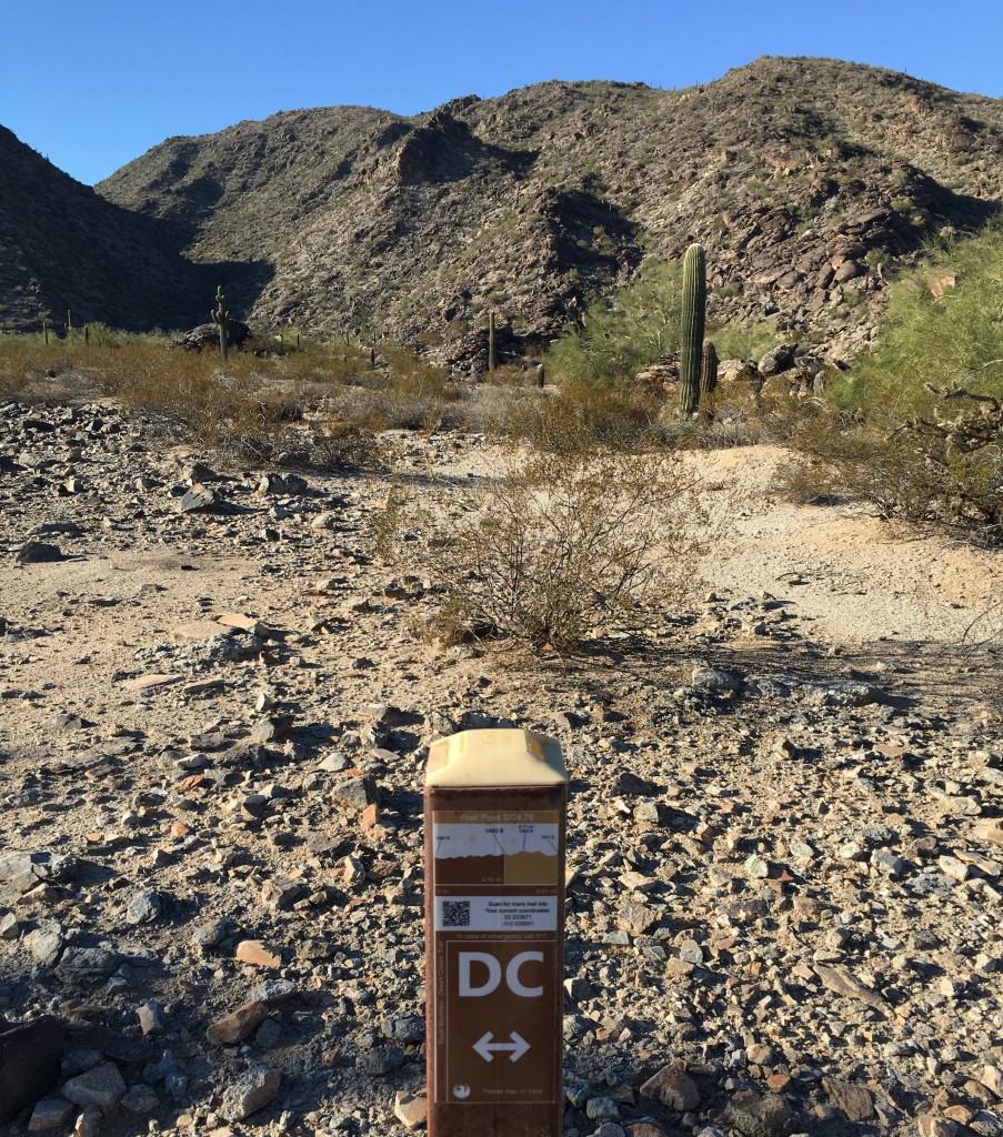 Desert Classic Trail 