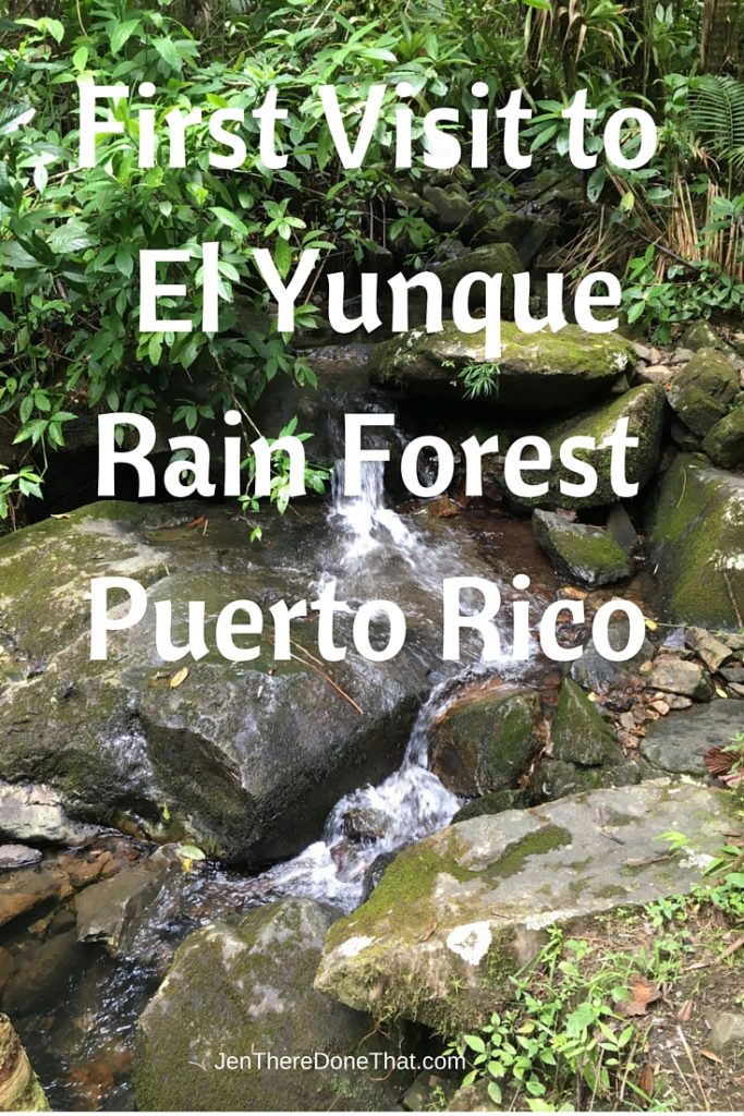 First Visit El Yunque