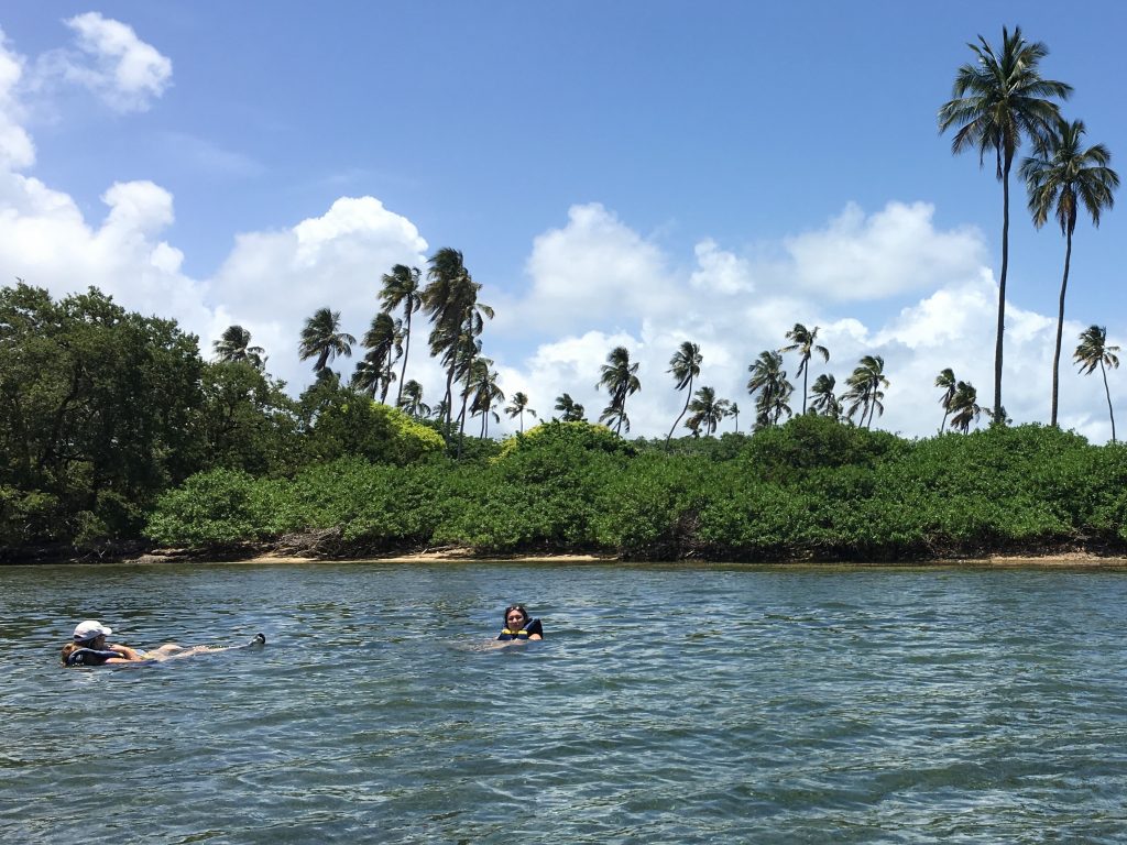 Rest break after paddling around Monkey Island (Cayo Santiago) Puerto Rico
