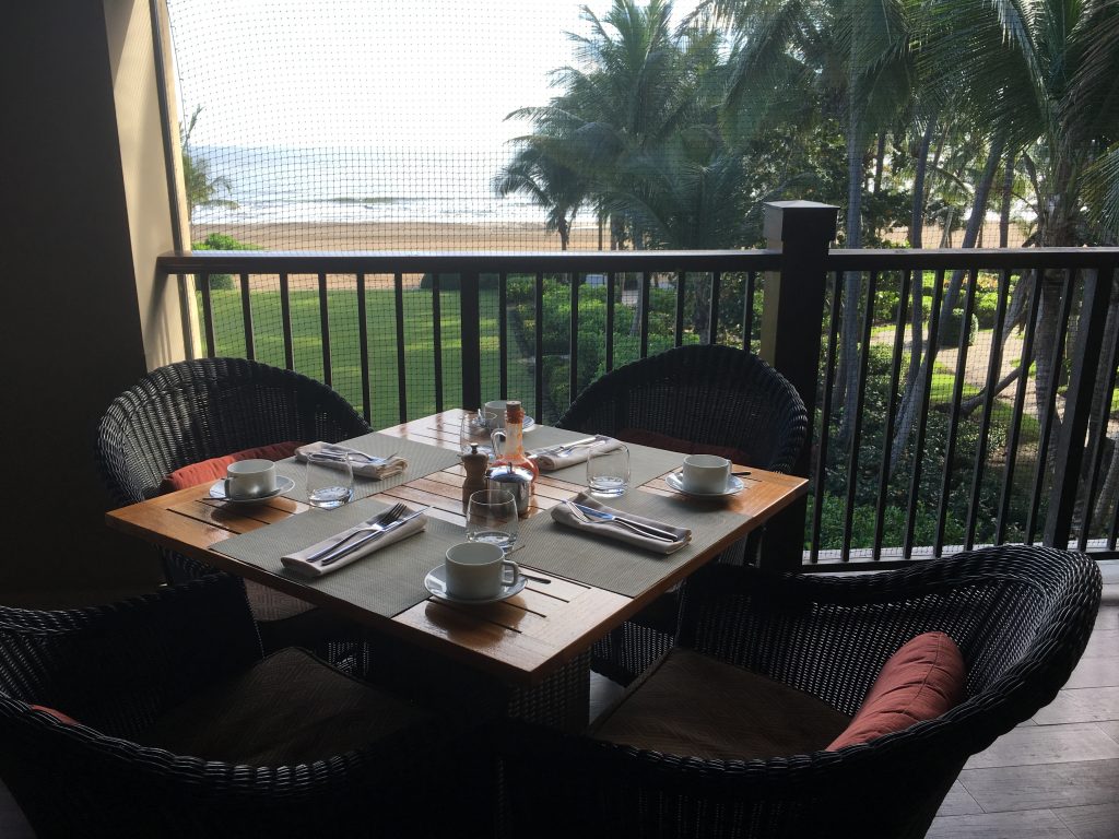 Fern patio overlooking the Atlantic Ocean