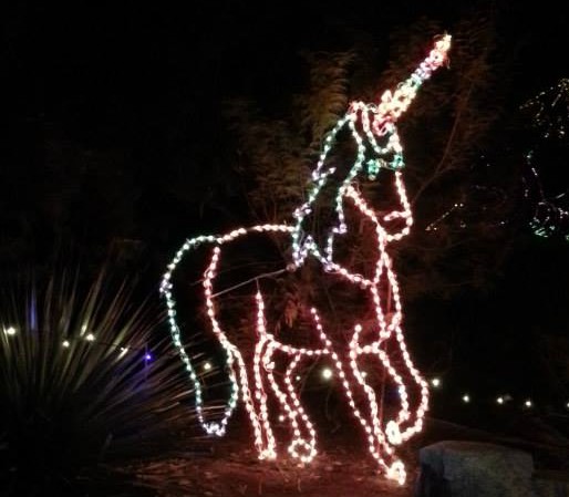 phoenix zoo lights 2015