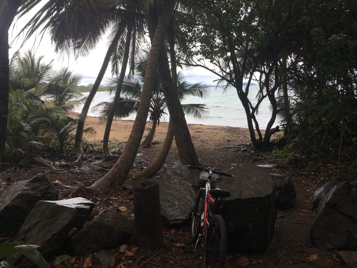 Humacao Nature Reserve Bike Ocean View Puerto Rico