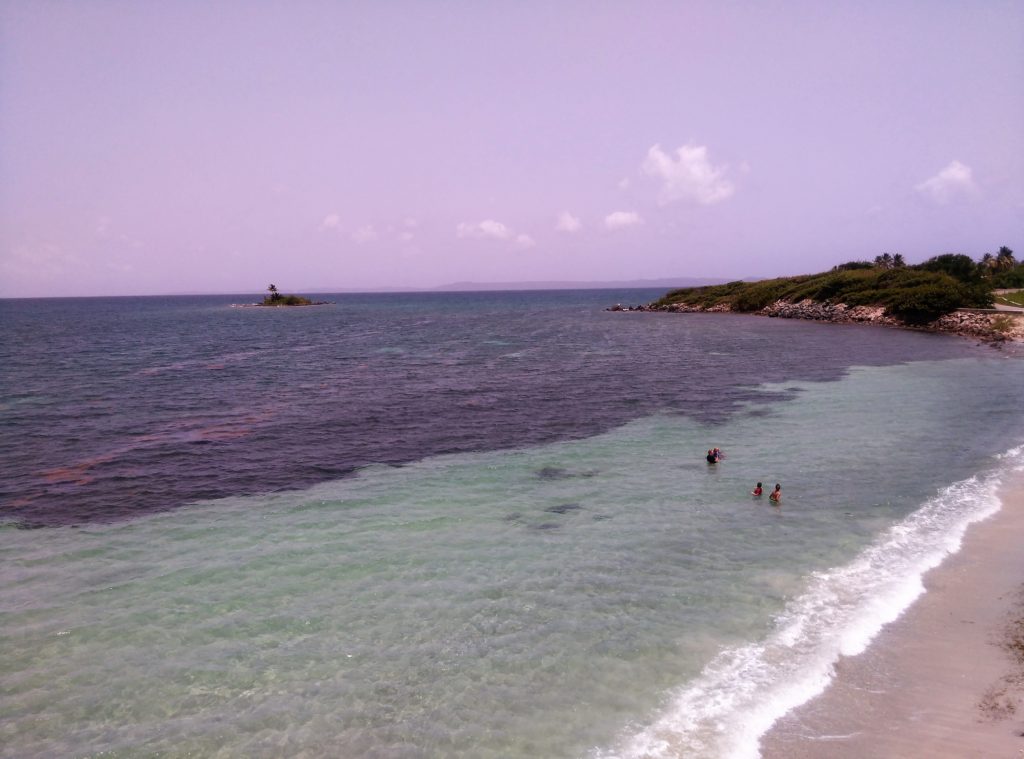 Ceiba Roosevelt Beach drone photo