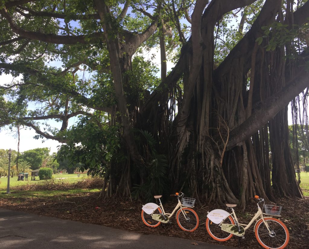 Bike Ride around Coral Gables