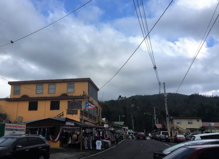 Weekend Festival along the Pork Highway in Guavate, Puerto Rico