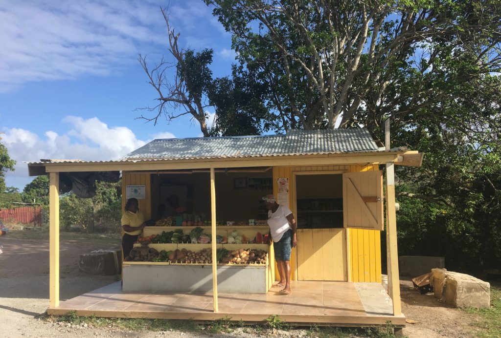 Roadside fruit stand with fresh picked local fruit and vegetables on Nevis Island