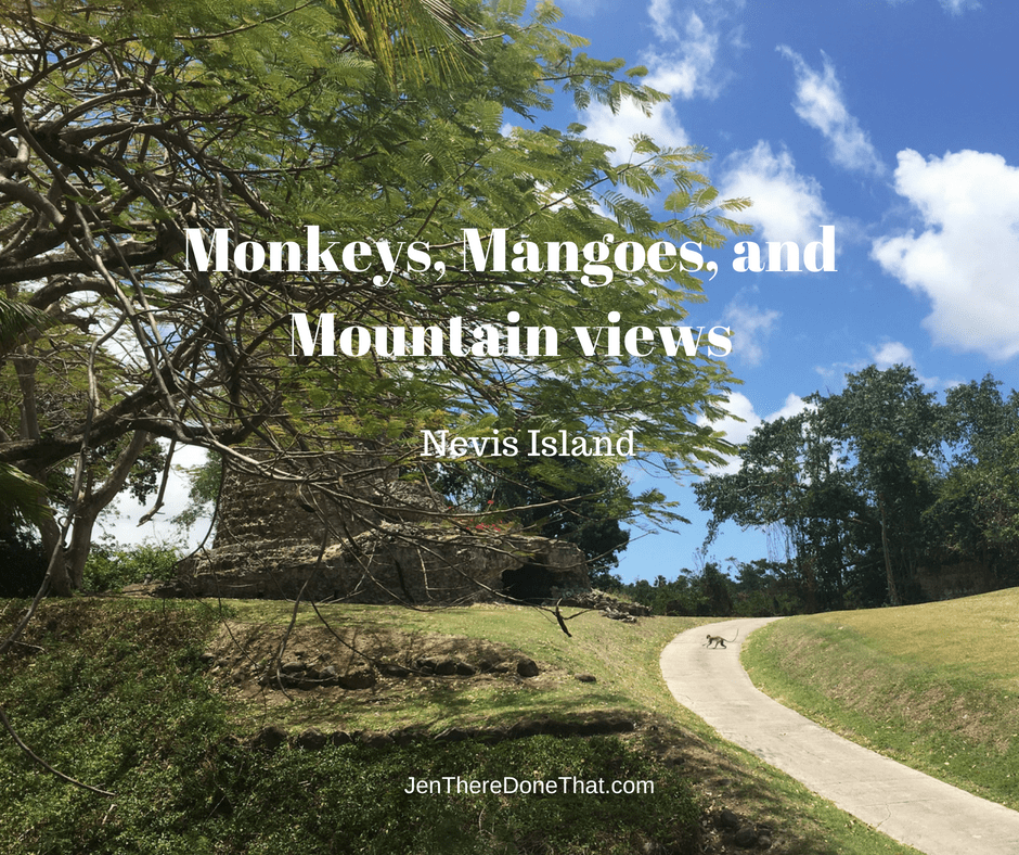 Nevis Island Monkeys, Mangoes, and Mountain views