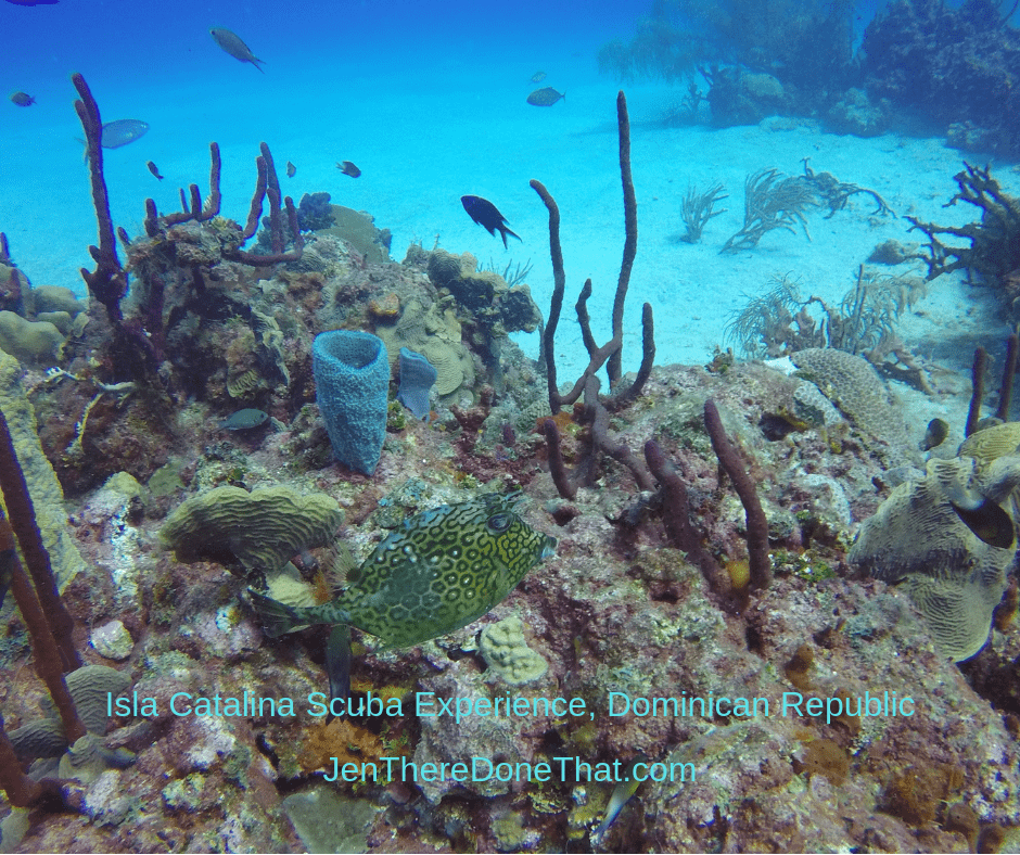 Scuba Dive Excursion at Isla Catalina, Dominican Republic