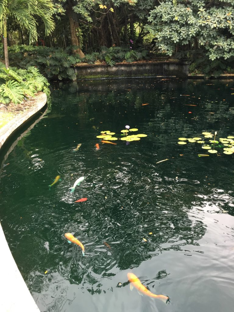 Museo de Arts Puerto Rico Garden Koi Pond