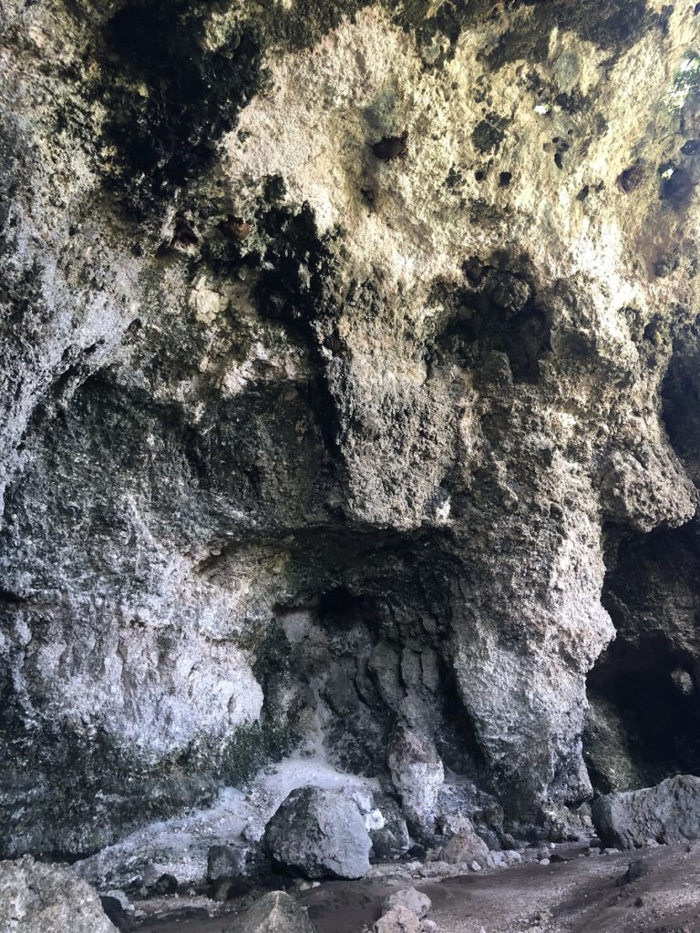 Guardian of the Honey shaped rock in the Parque Historico of Cueva Maria de la Cruz in Loiza, Puerto Rico