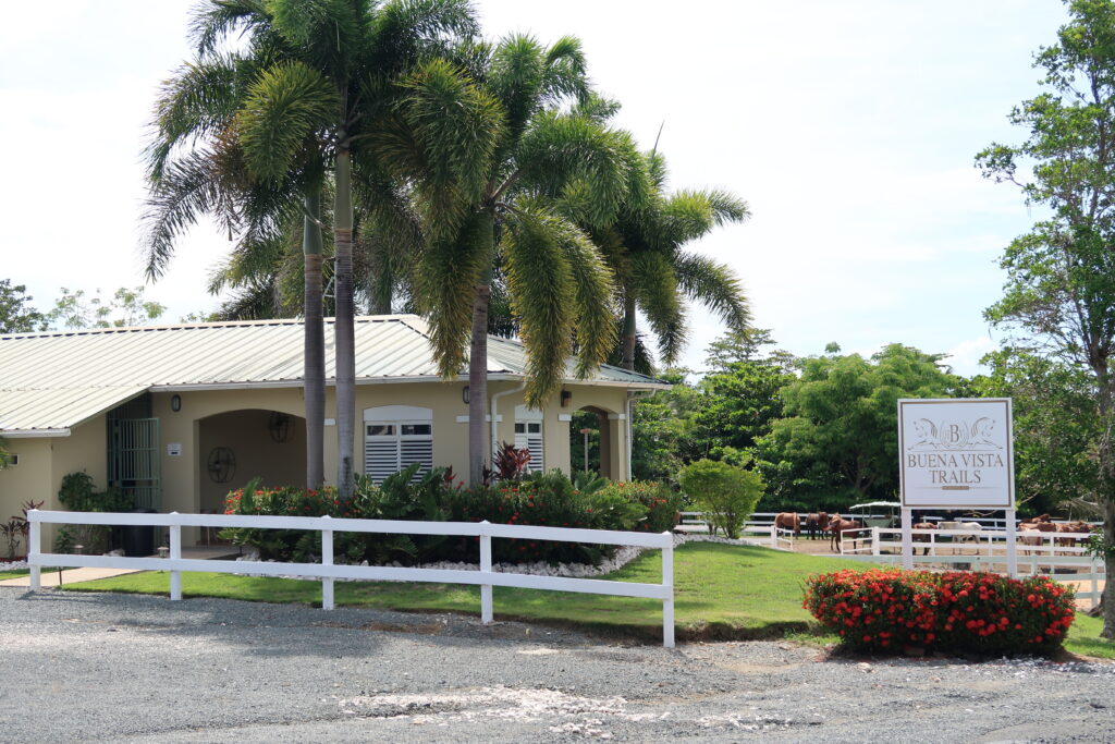 Equestrian Center in Palmas del Mar