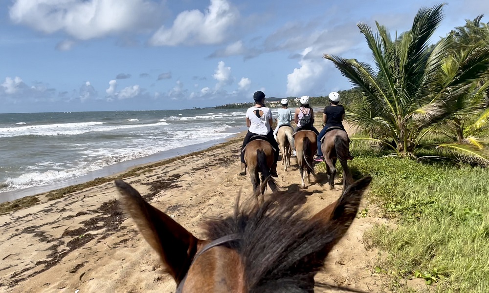 Horse ride on the beach in Humacao, Puerto Rico